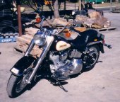 1986 Harley-Davidson FXST 1340 Softail photo